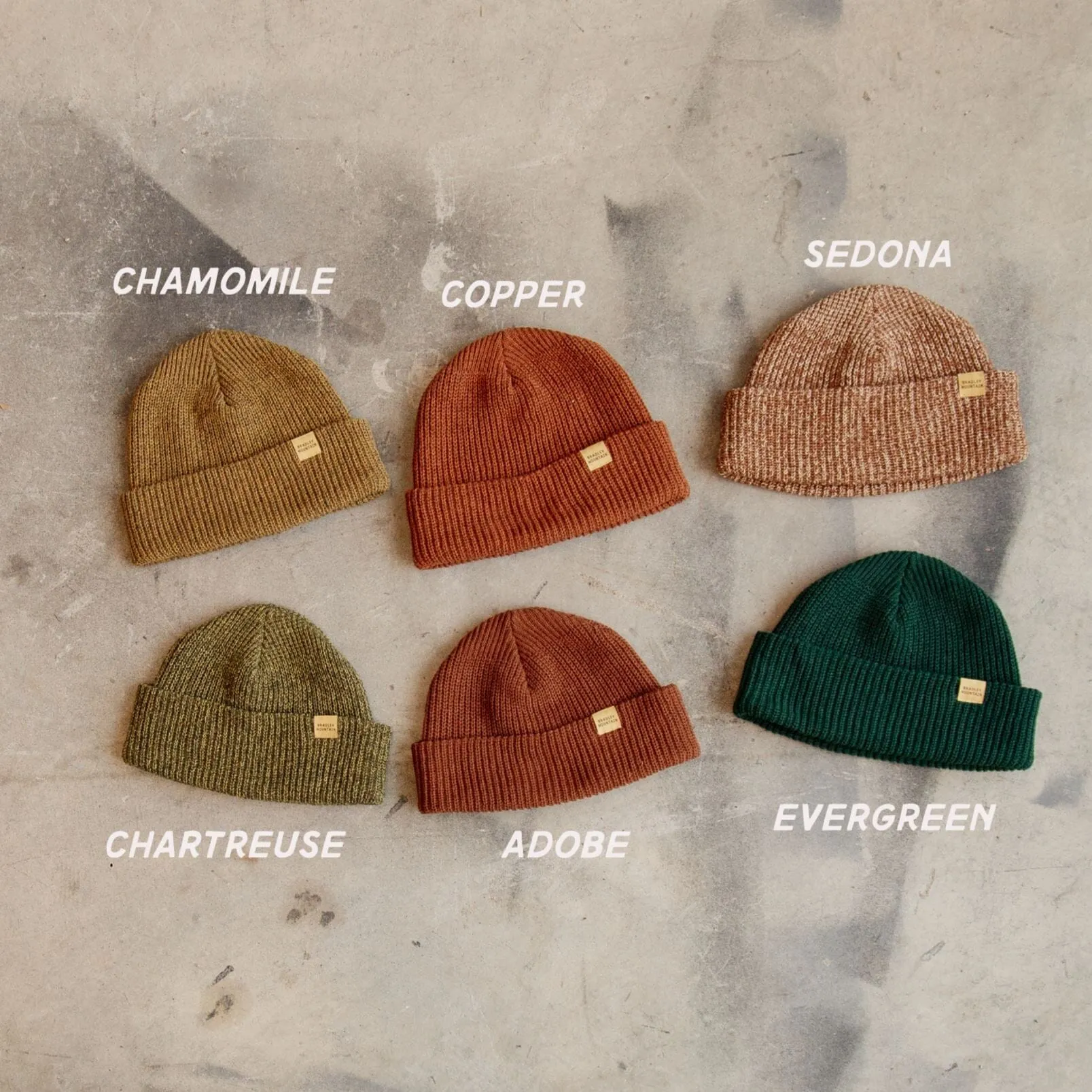 Cotton Watch Cap - Evergreen